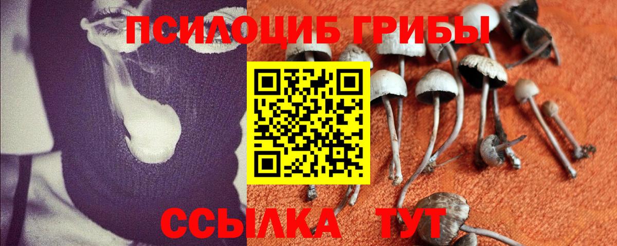 Псилоцибиновые грибы GOLDEN TEACHER Корсаков