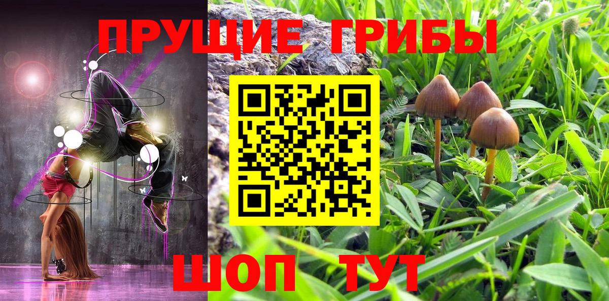 Галлюциногенные грибы Psilocybine cubensis  Вход с VPN  Корсаков 